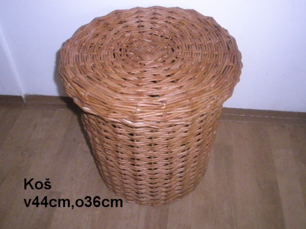 P4300559